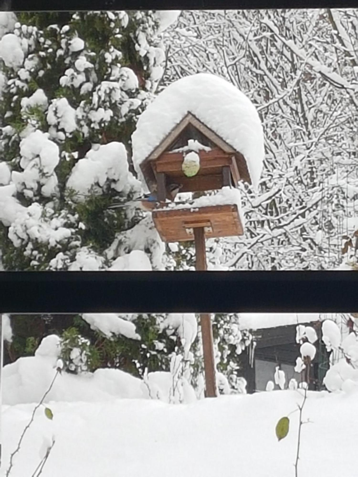 Ferienwohnung Szymonowka W Szklarskiej Porebie Schreiberhau Exterior foto